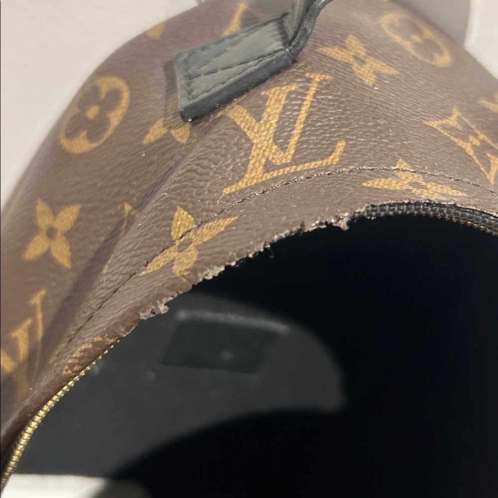 PALM SPRINGS MINI - Louis Vuitton - Picture 9 of 11